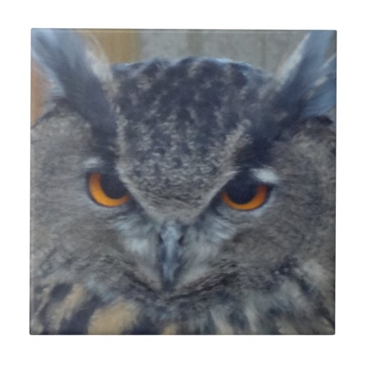 ワイズワン タイル (正面)