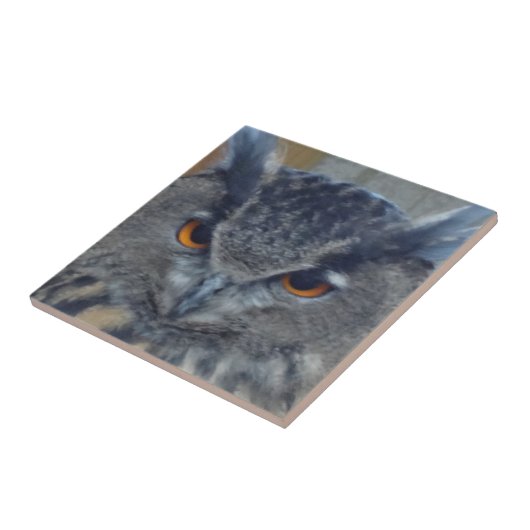 ワイズワン タイル (側面)