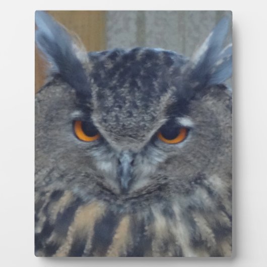 ワイズワン フォトプラーク (正面)