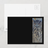 ワイズワン ポストカード (正面/裏面)