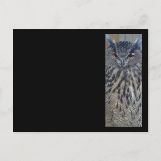 ワイズワン ポストカード (正面)