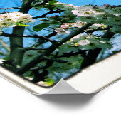 ワイズ引用文春フローラ ポスター (角)