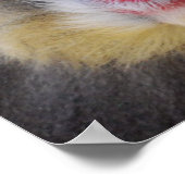 ワイズ・マンドリル・モンキー ポスター (角)