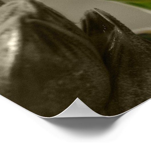 ワイゼン小麦 ポスター (角)