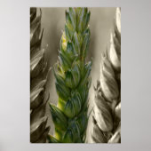 ワイゼン小麦 ポスター (正面)