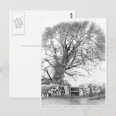 ワイチ・エルムオリジナル葉書 ポストカード (正面/裏面)