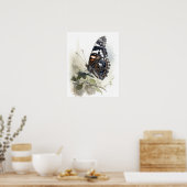 ワイデメイヤー提督バタフライアートプリントポスター ポスター (キッチン)