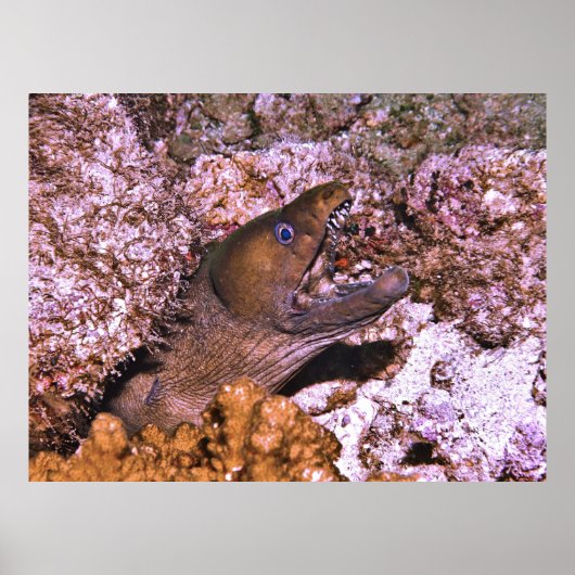 ワイドを開く ポスター (正面)