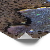 ワイドを開く ポスター (角)