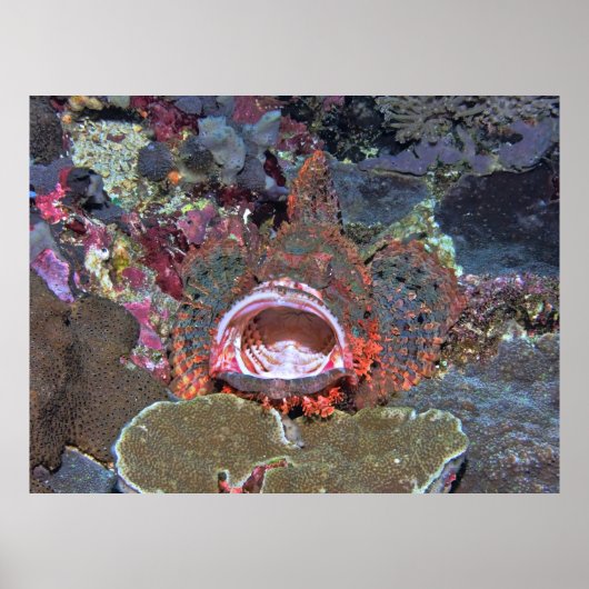 ワイドを開く ポスター (正面)