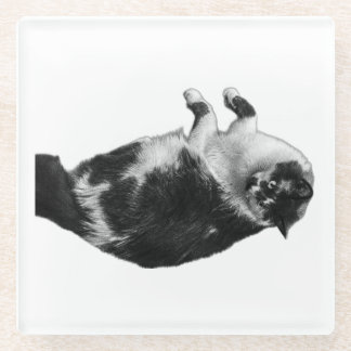 ワイドアイキャットフリップコースター ガラスコースター