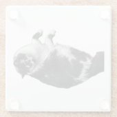 ワイドアイキャットフリップコースター ガラスコースター (裏面)