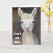 ワイドアイドLLAMAカード「HAPPY 50誕生日」 カード (黄色い花)