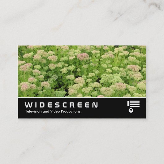 ワイドスクリーン0424 - Sedum (Autumn Joy) 名刺 (正面)