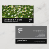 ワイドスクリーン0474 -デイジー 名刺 (正面/裏面)