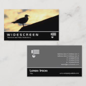 ワイドスクリーン0475 - Herring Gull Sunset 名刺 (正面/裏面)