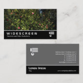 ワイドスクリーン394 – 椿ブッシュ 名刺 (正面/裏面)