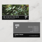 ワイドスクリーン400 – 植物園 名刺 (正面/裏面)