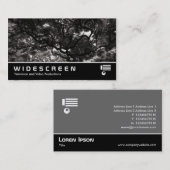 ワイドスクリーン411 – マグノリアの木々の間 – 暖かい 名刺 (正面/裏面)