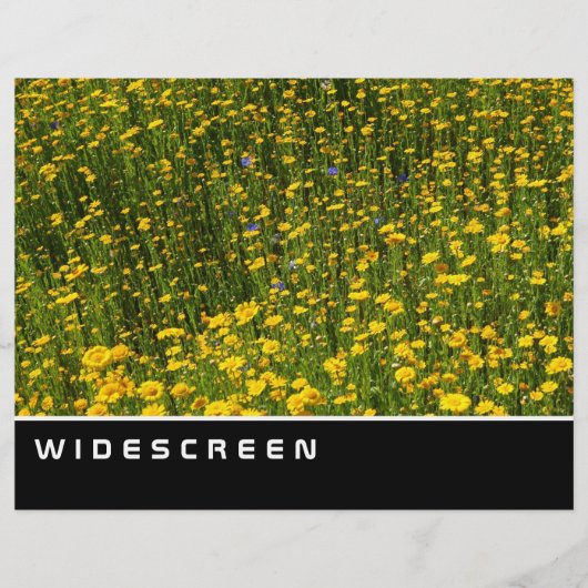 ワイドスクリーン – 黄色のデイジー チラシ (正面)