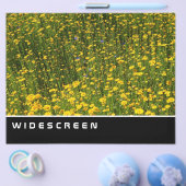 ワイドスクリーン – 黄色のデイジー チラシ (シングル)