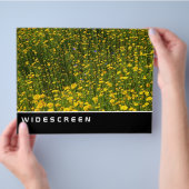 ワイドスクリーン – 黄色のデイジー チラシ (手)