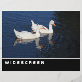 ワイドスクリーン – Emden Geese チラシ