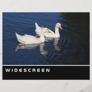 ワイドスクリーン – Emden Geese チラシ