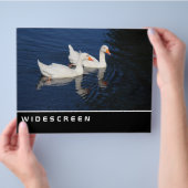 ワイドスクリーン – Emden Geese チラシ (手)