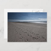 ワイドビーチアットザノースシー ポストカード (正面/裏面)