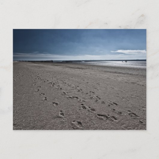 ワイドビーチアットザノースシー ポストカード (正面)