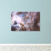 ワイドフィールド30ドラドスUVIS キャンバスプリント (インサイチュ (ウッドフロア))