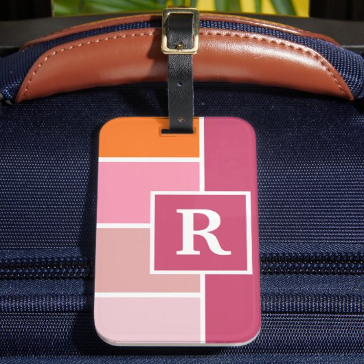 ワイドフェミニンストライプとモノグラム ラゲッジタグ (正面インサイチュ2)