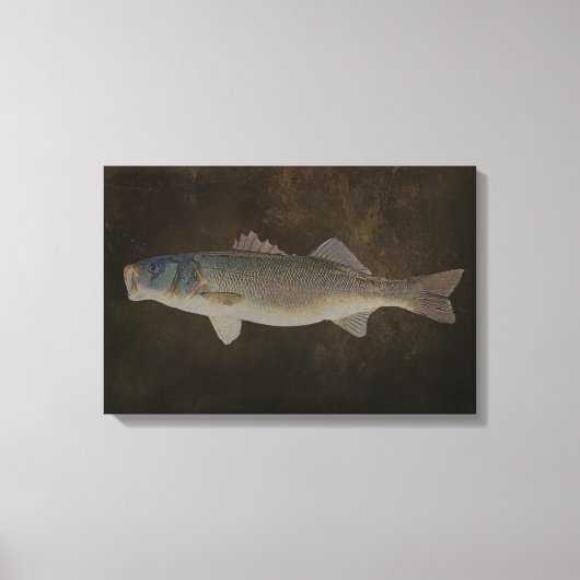 ワイドマウス用ベースキャンバスプリント キャンバスプリント (正面)