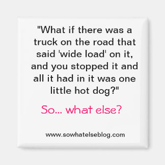 ワイドロード磁石 マグネット