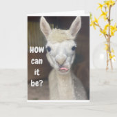 ワイド・アイド・ラマの「HAPPY 40th BIRTHDAY」 カード (黄色い花)