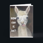 ワイド・アイド・ラマの「HAPPY 40th BIRTHDAY」 カード<br><div class="desc">私の8店舗ストップのうち1店舗に感謝し、"日"を持って素晴らしいる</div>