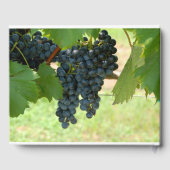 ワイナリーをテーマカスタムにしたゲストブック ゲストブック (裏面)