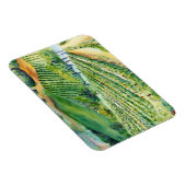 ワイナリーアートワーク絵画ヴィンヤードマグネット マグネット (右側)