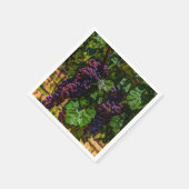 ワイナリーグレープフィン日当たりの良いトスカニーブドウ スタンダードカクテルナプキン (角)