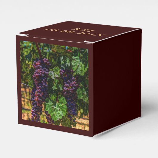 ワイナリーグレープフィン日当たりの良いトスカニーブドウ フェイバーボックス (正面サイド)