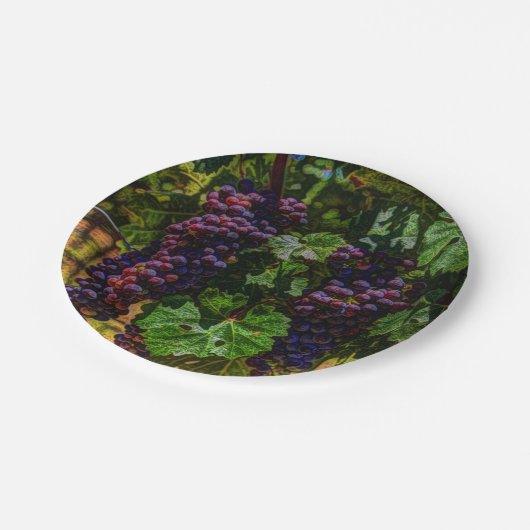 ワイナリーグレープフィン日当たりの良いトスカニーブドウ ペーパープレート (アングル)