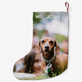 ワイナーワンダーランドのクリスマスダシュント歩く スモールクリスマスストッキング (裏面)