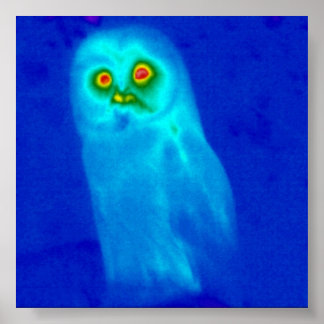 ワイフクロウ ポスター