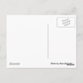 ワイマナロ神々の国（ハワイ・オアフ島） ポストカード (裏面)