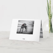 ワイマラおもしろいナー誕生日カード カード (裏面)