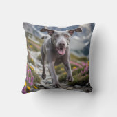 ワイマラナーエレガント装飾用クッション クッション (裏面)