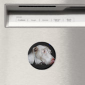 ワイマラナーザグレー幽霊 マグネット (インサイチュ (食洗機))