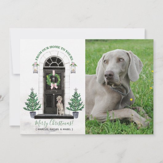 ワイマラナードッグホリデークリスマスフォトカード 招待状 (正面)
