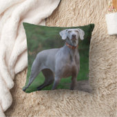 ワイマラナーパピードッグ クッション (ブランケット)